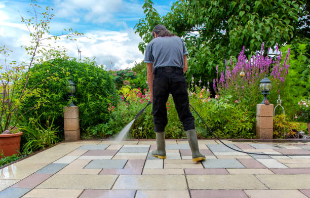 Best Driveway Cleaning and Restoration in Prices Fork, VA